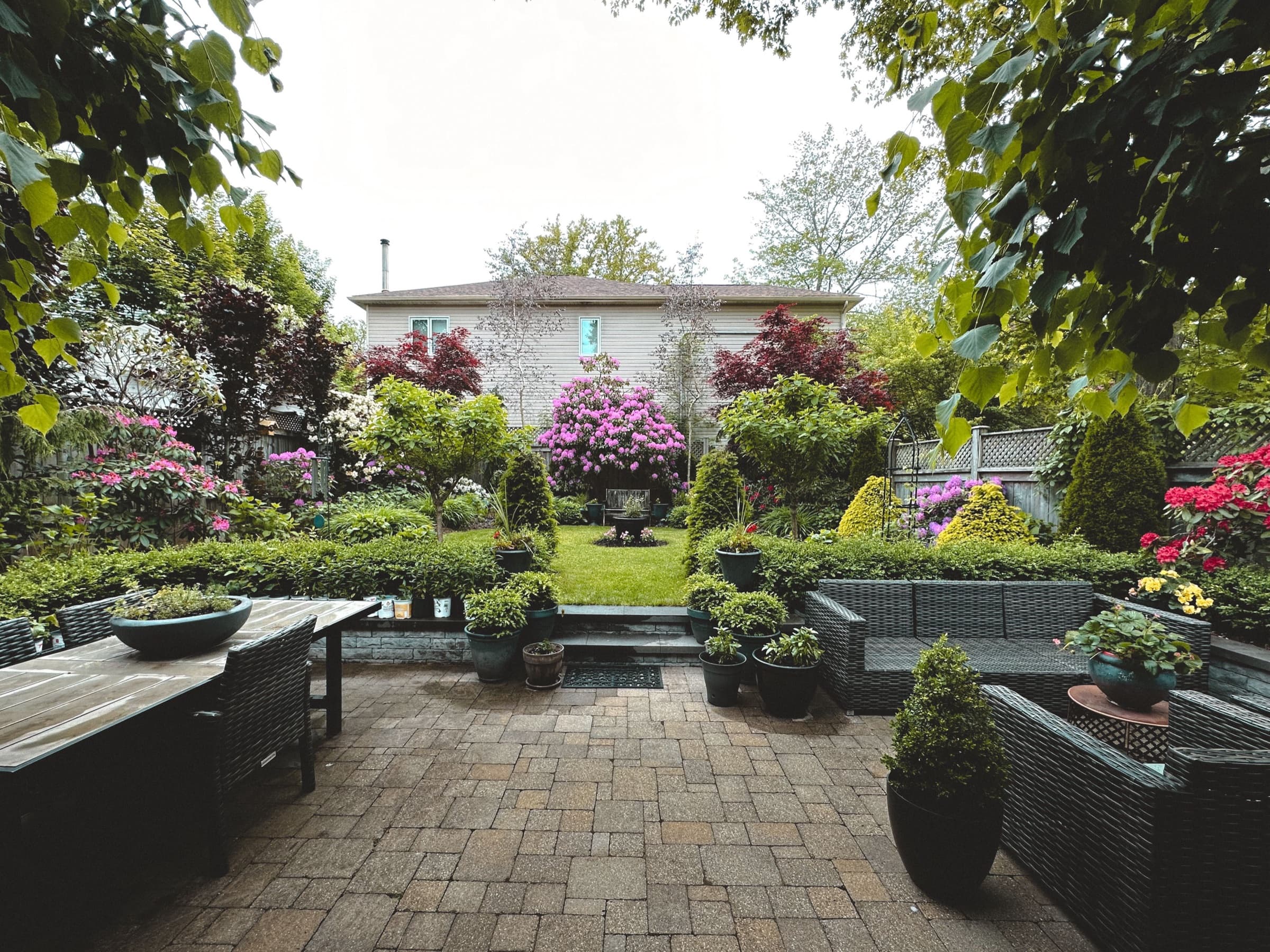 A finished backyard with a paver patio, seating, layered planting beds, and flowering shrubs.