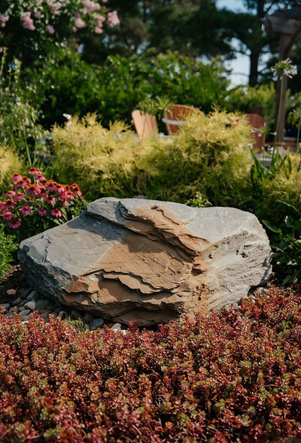 A landscape boulder set among golden and burgundy plantings.
