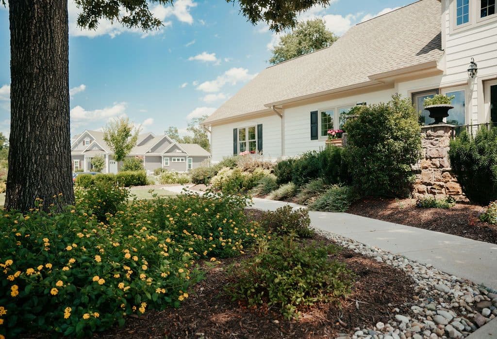 A streetside planting bed with golden shrubs fronting a coastal NC home.