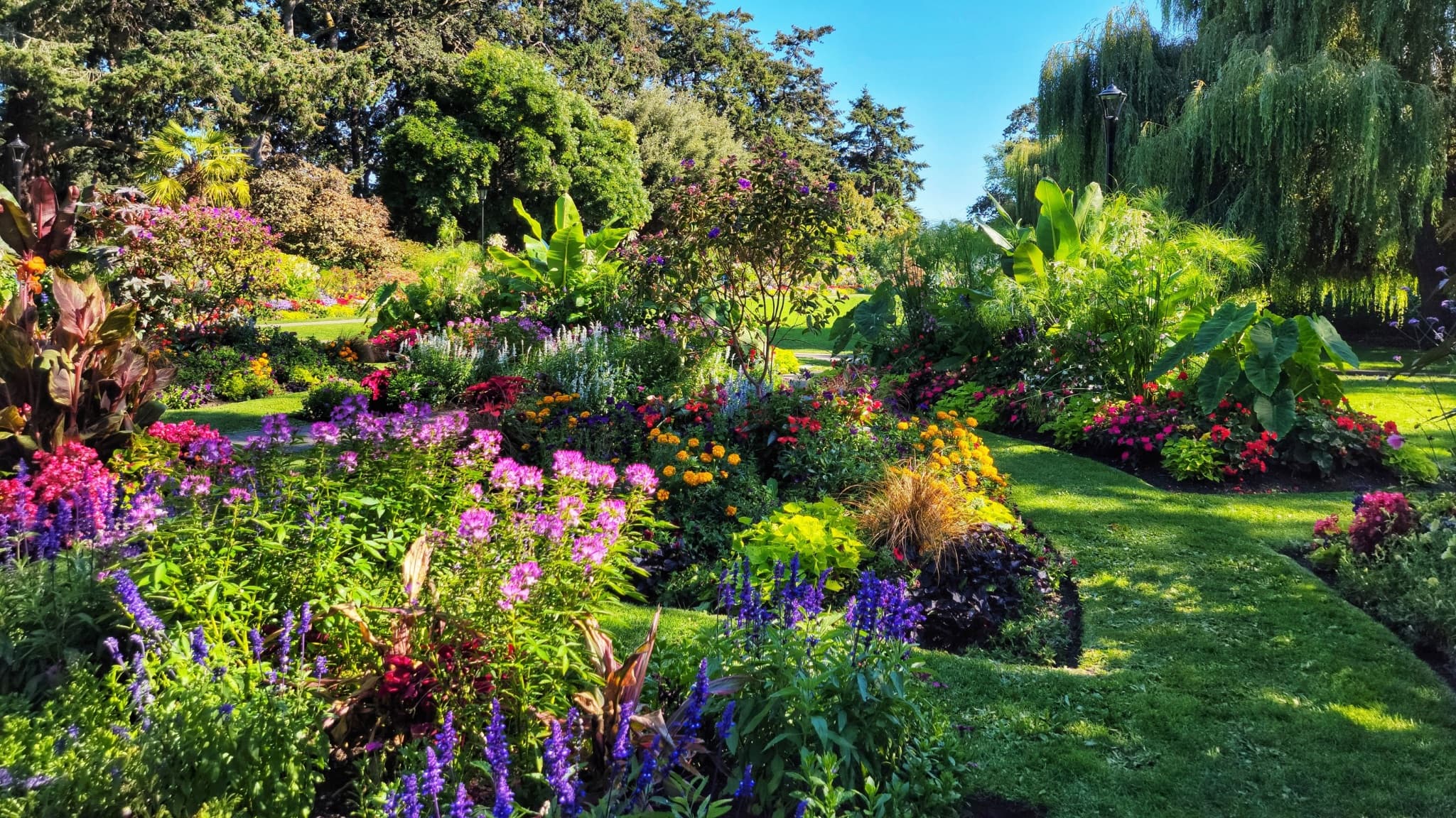 A vibrant garden in full bloom with beds of pink, purple, orange, and red flowers under mature trees.