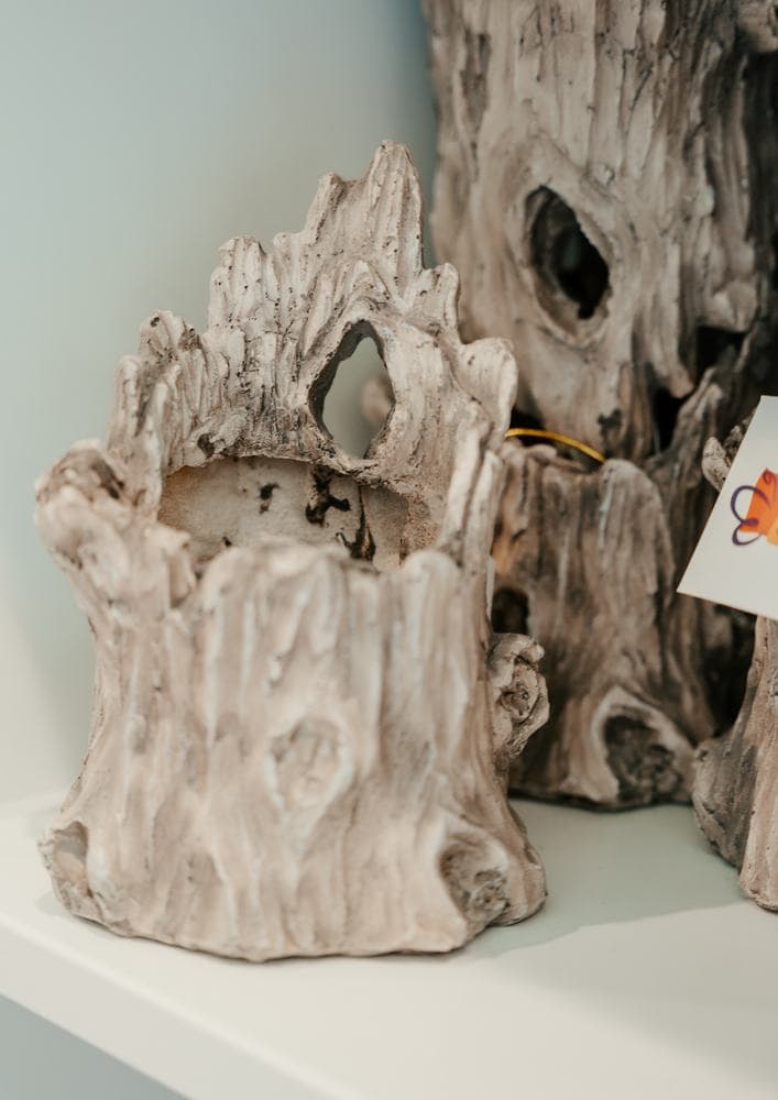 A driftwood style planter
