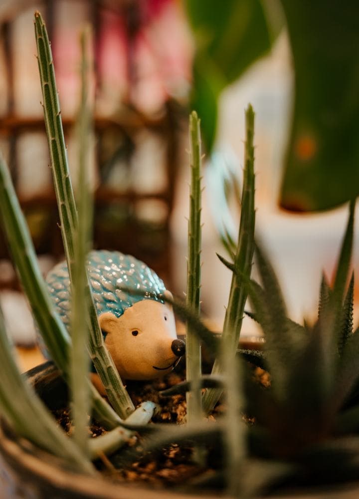 Garden figures