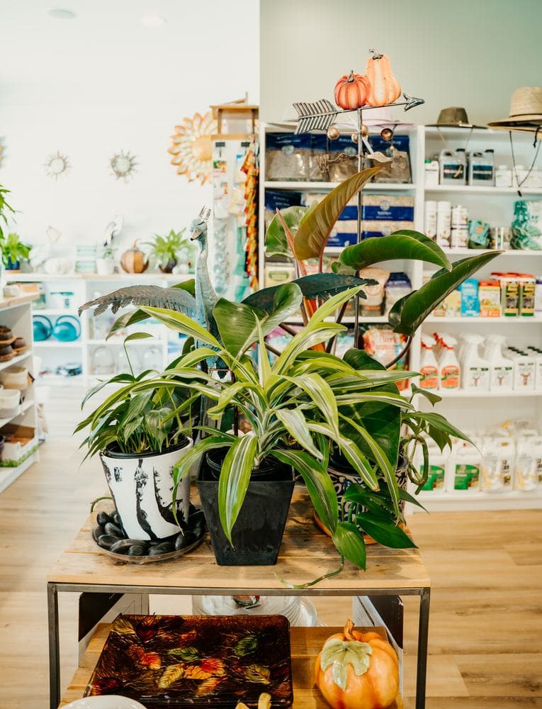 The gift shop