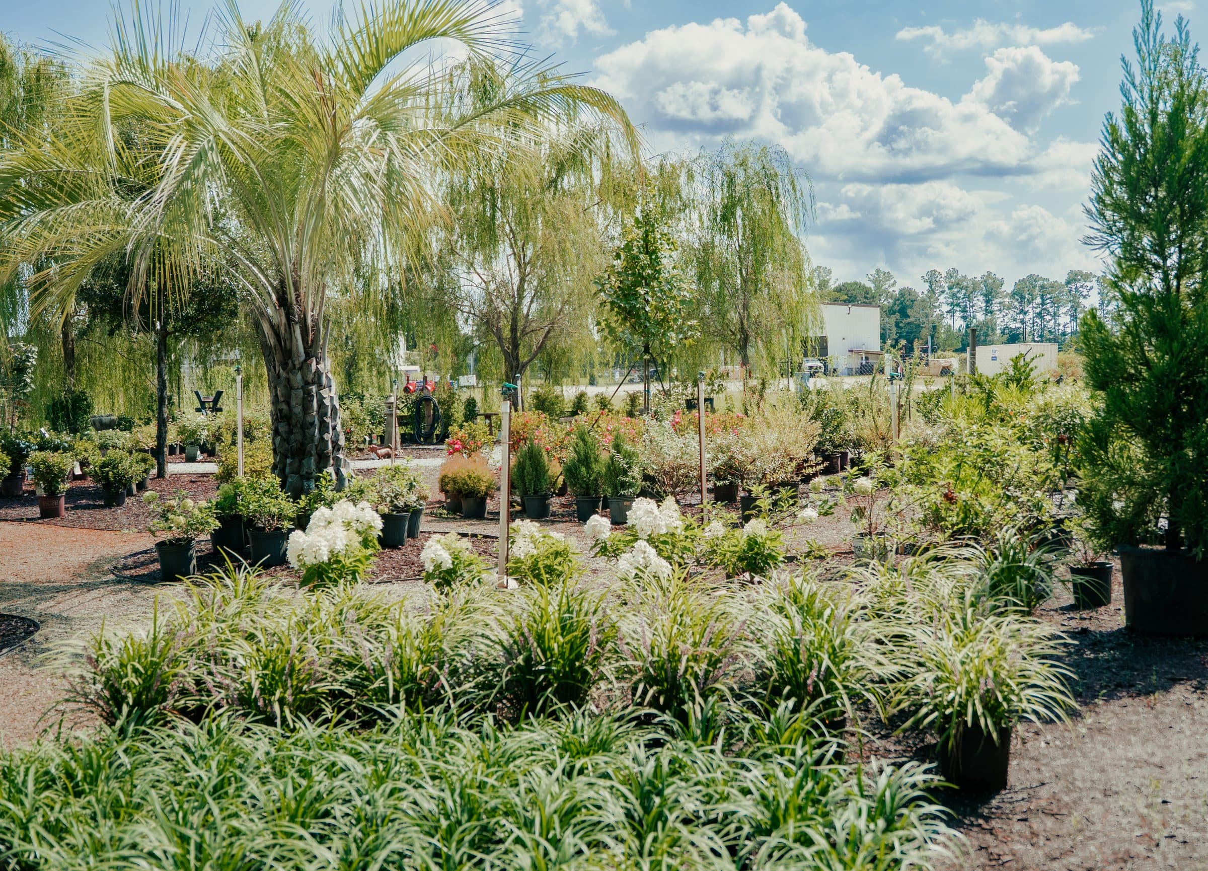 The nursery yard