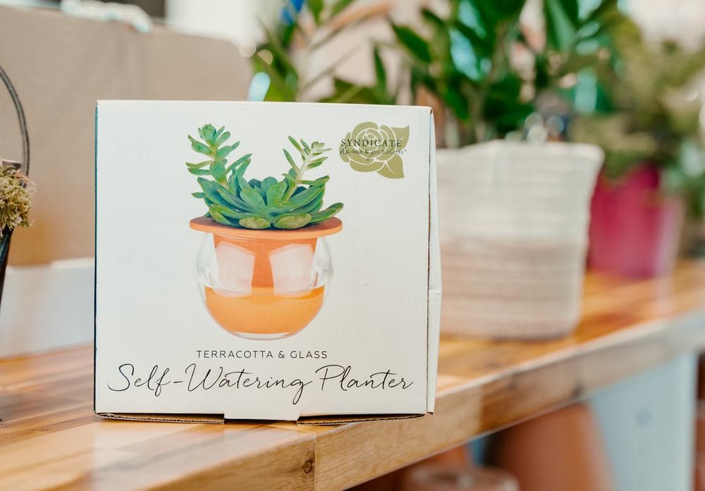 Self watering planters