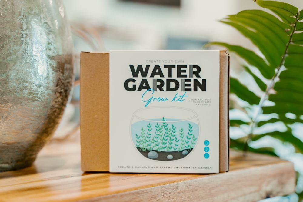 Water garden grow kits