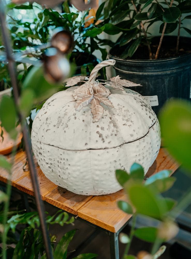 A white ceramic pumpkin