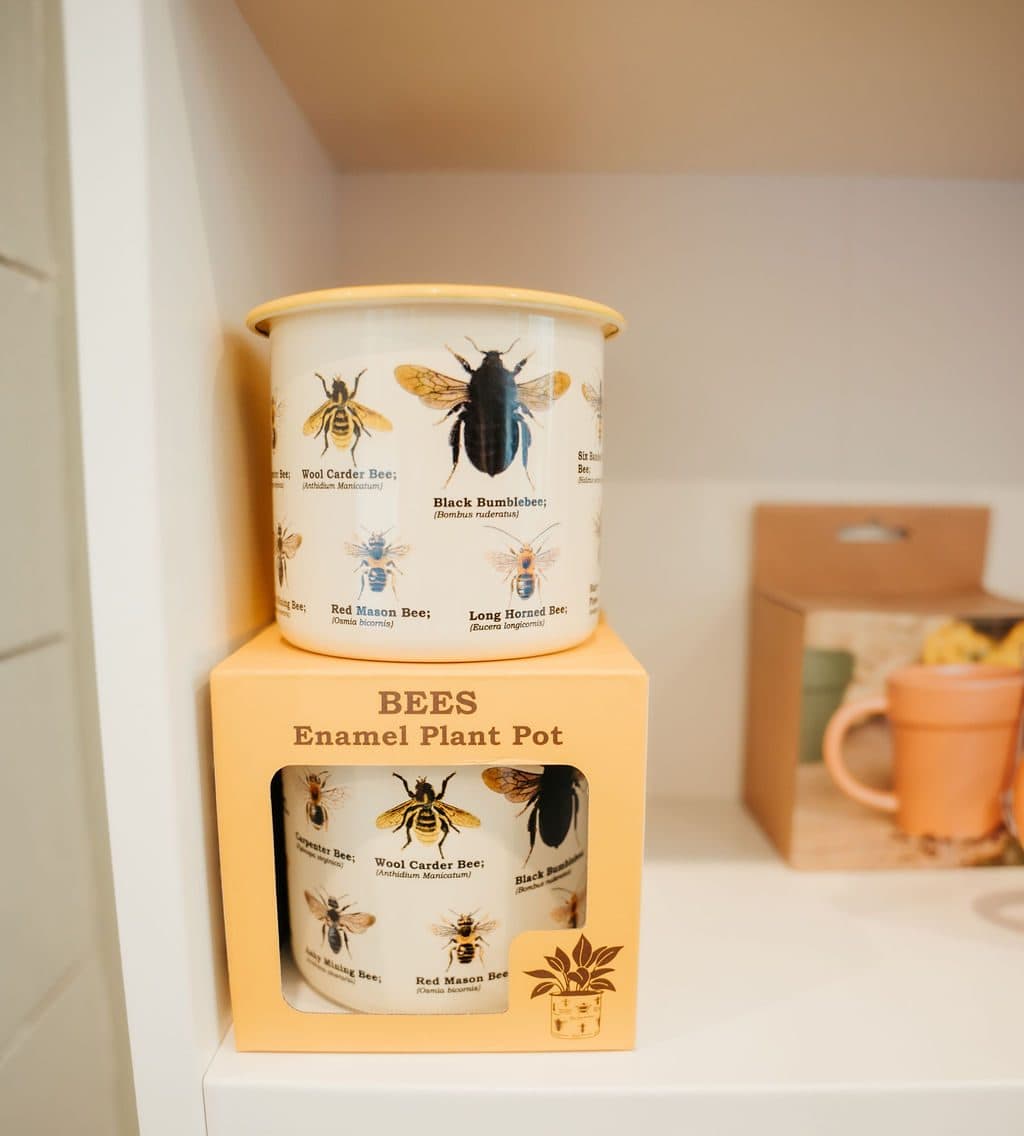 Enamel plant pots