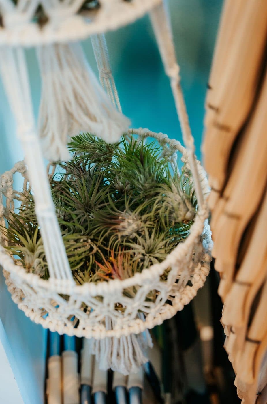 Macrame hangers