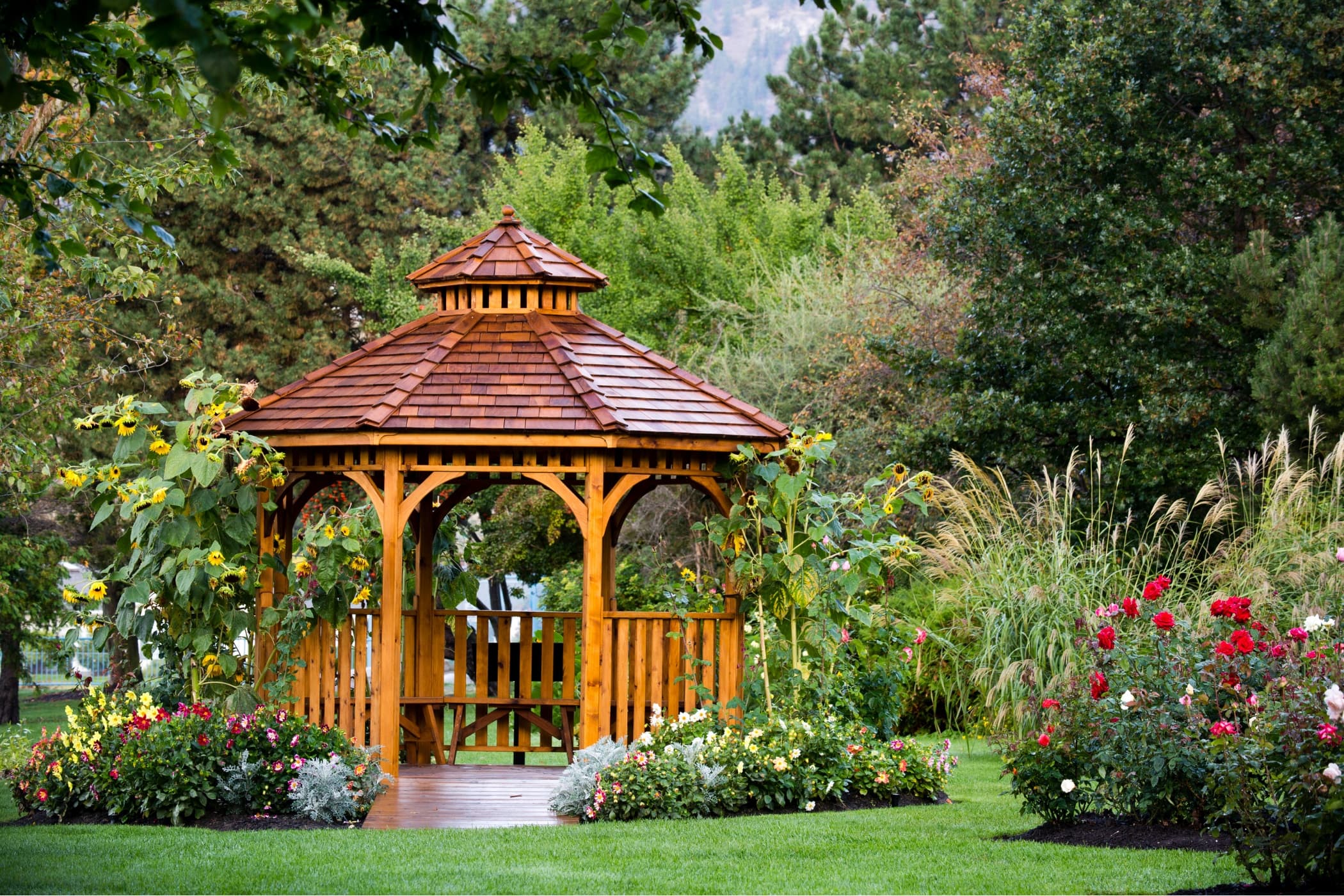 A cedar gazebo with a shingled roof in a flower garden.