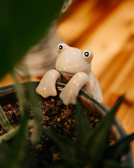 Frog pot huggers