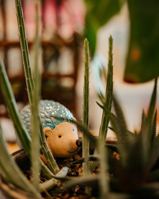 Garden figures