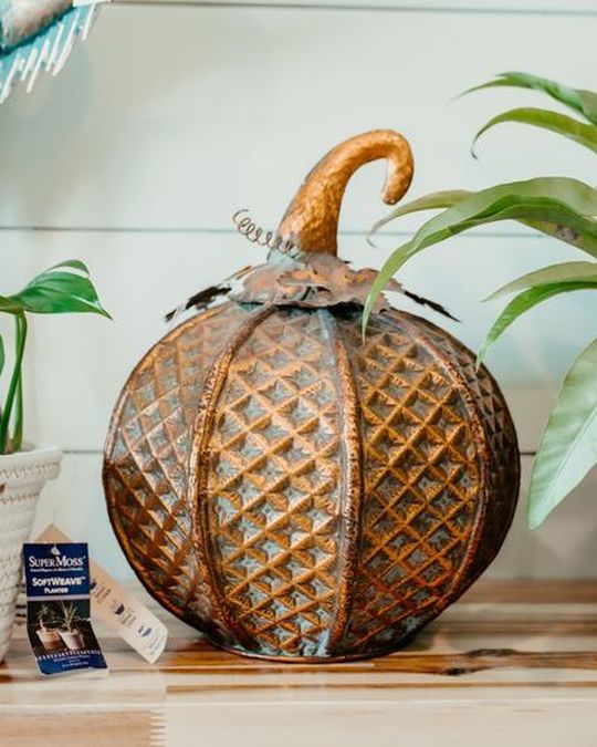 Glass pumpkins and houseplants