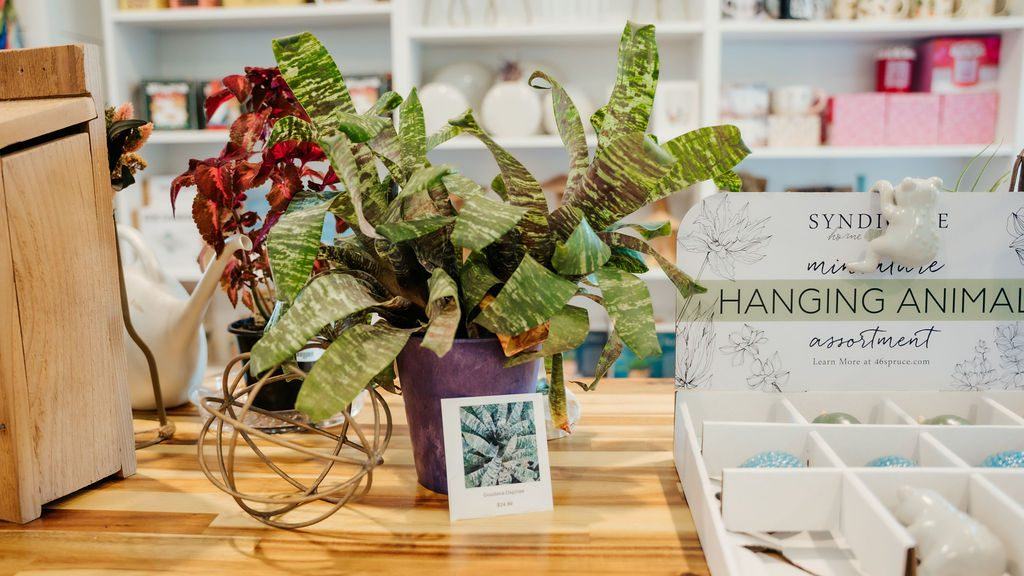 Hanging animal planters