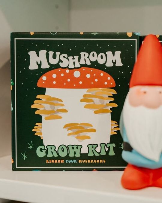 Mushroom grow kits