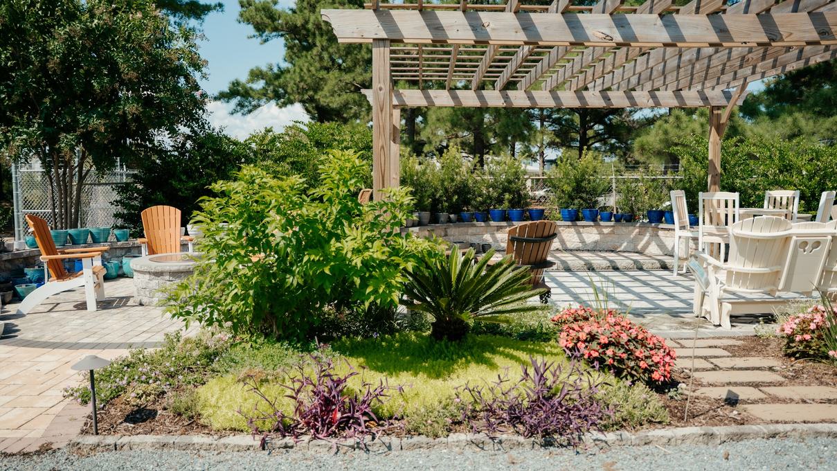 The pergola garden